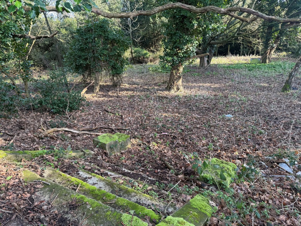 Lot: 112 - OVER HALF AN ACRE OF FREEHOLD PARCEL OF LAND - Steps leading to overgrown land